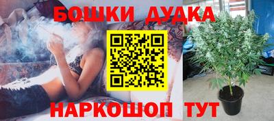 винт Аргун